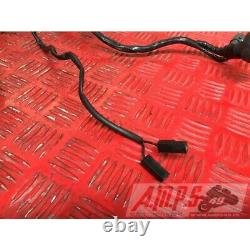 Faisceau électrique principale Triumph 660 Street Triple S 2017 à 2020