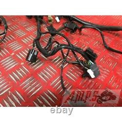 Faisceau électrique principale Triumph 660 Street Triple S 2017 à 2020