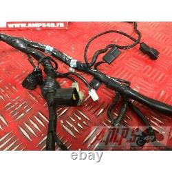 Faisceau électrique principale Triumph 660 Street Triple S 2017 à 2020