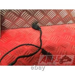 Faisceau électrique principale Triumph 660 Street Triple S 2017 à 2020