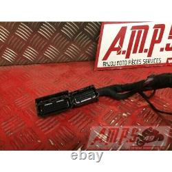 Faisceau électrique principale Triumph 660 Street Triple S 2017 à 2020