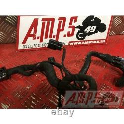 Faisceau électrique principale Triumph 660 Street Triple S 2017 à 2020