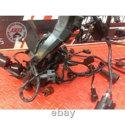 Faisceau électrique principale Triumph Street Triple 675 R 2013 à 2016