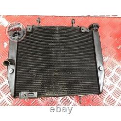 Grille de radiateur Triumph 660 Street Triple S 2017 à 2020