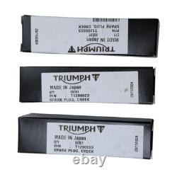 Kit D'Entretien Officiel T3990021 Triumph Street Triple / R