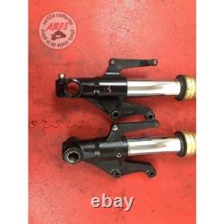 Paire de tube de fourche Triumph 675 Street Triple 2007 à 2010