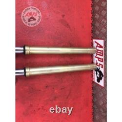 Paire de tube de fourche Triumph 675 Street Triple 2007 à 2010