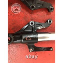 Paire de tube de fourche Triumph 675 Street Triple 2007 à 2010