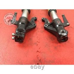 Paire de tube de fourche Triumph 675 Street Triple 2007 à 2010