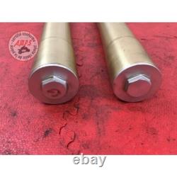 Paire de tube de fourche Triumph 675 Street Triple 2007 à 2010