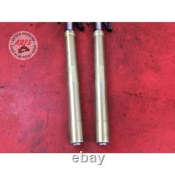 Paire de tube de fourche Triumph 675 Street Triple 2007 à 2010