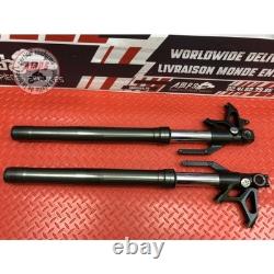 Paire de tube de fourche Triumph 765 Street Triple RS 2023 à 2025