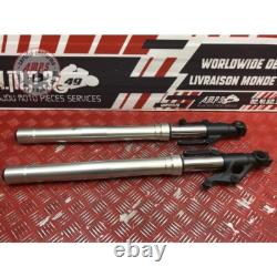 Paire de tube de fourche Triumph 765 Street Triple R 2017 à 2019