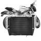 Radiateur Pour 2017-2024 Triumph Street Triple 765 R Rs 660s