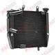 Radiateur Pour 2017-2024 Triumph Street Triple 765 R Rs 660s New Alu 2020