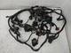 Syst&egrave;me De C&acirc;blage &Eacute;lectrique Triumph Street Triple 675 2013/2016 T2501645