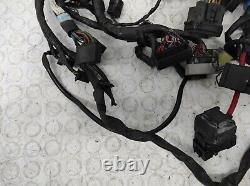 Système De Câblage Électrique TRIUMPH STREET TRIPLE 675 2013/2016 T2501645