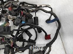 Système De Câblage Électrique TRIUMPH STREET TRIPLE 675 2013/2016 T2501645