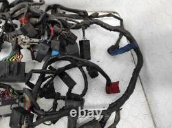Système De Câblage Électrique TRIUMPH STREET TRIPLE 675 2013/2016 T2501645