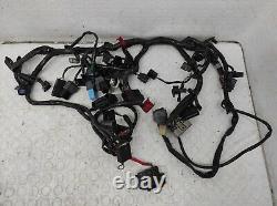 Système De Câblage Électrique TRIUMPH STREET TRIPLE 675 2013/2016 T2501645