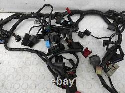 Système De Câblage Électrique TRIUMPH STREET TRIPLE 675 2013/2016 T2501645