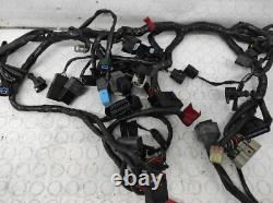 Système De Câblage Électrique TRIUMPH STREET TRIPLE 675 2013/2016 T2501645