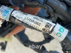 Un Faisceau Electrique Nu Reference 2507652/1 Triumph 765 Street Triple